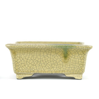  Satomi Mazan, Mazan Terahata Rechthoekige beige bonsaipot van 145 mm van Terahata Satomi Mazan, Tokoname, Japan