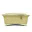 Maceta rectangular para bonsai beige de Terahata Satomi Mazan - 145 x 135 x 60 mm