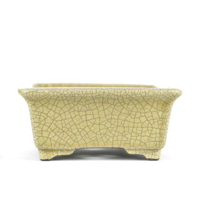 Pot à bonsaï rectangulaire beige par Terahata Satomi Mazan - 145 x 135 x 60 mm