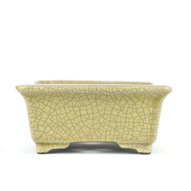 Rechteckige beige Bonsaischale von Terahata Satomi Mazan - 145 x 135 x 60 mm