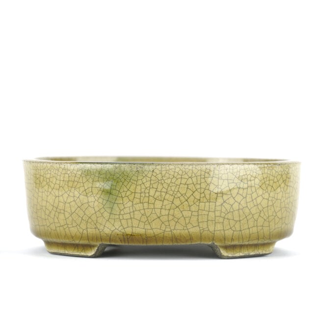 Vaso bonsai ovale beige di Terahata Satomi Mazan - 160 x 130 x 52 mm