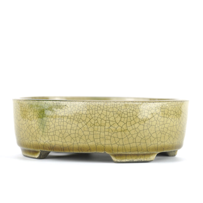 Oval beige bonsai pot by Terahata Satomi Mazan - 160 x 130 x 52 mm