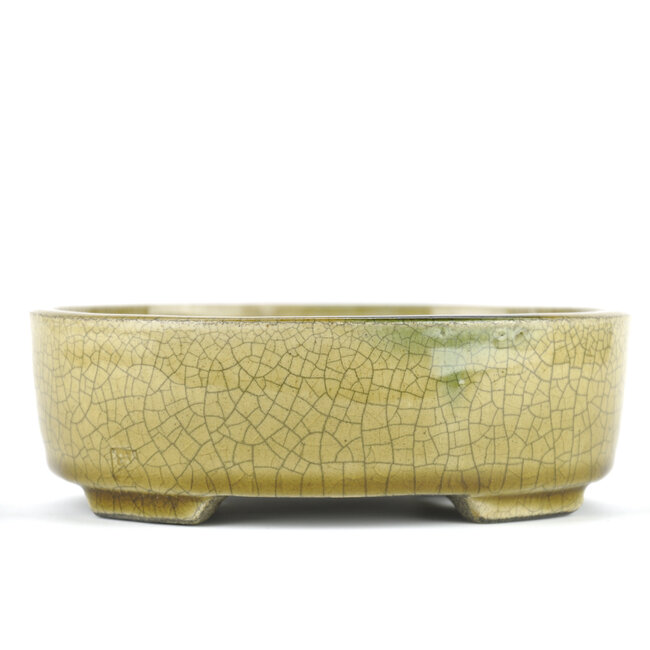 Ovale beige bonsaipot van Terahata Satomi Mazan - 160 x 130 x 52 mm