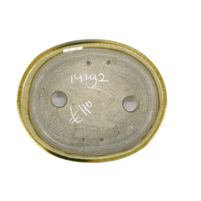 Pot à bonsaï ovale beige par Terahata Satomi Mazan - 160 x 130 x 52 mm