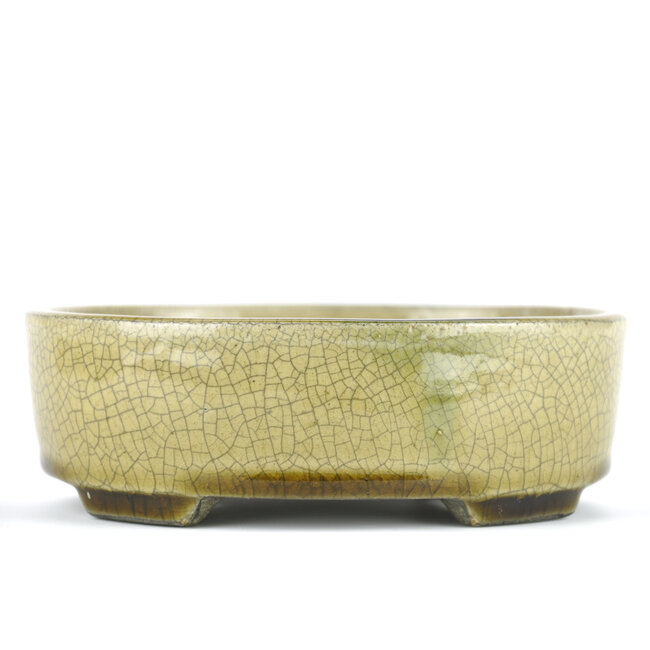 Vaso bonsai ovale beige di Terahata Satomi Mazan - 160 x 130 x 52 mm