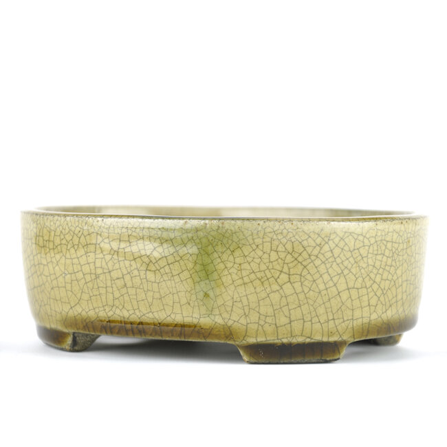 Oval beige bonsai pot by Terahata Satomi Mazan - 160 x 130 x 52 mm