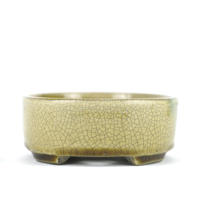 Ovale beige Bonsaischale von Terahata Satomi Mazan - 160 x 130 x 52 mm