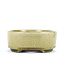 Maceta de bonsai beige ovalada de Terahata Satomi Mazan - 160 x 130 x 52 mm