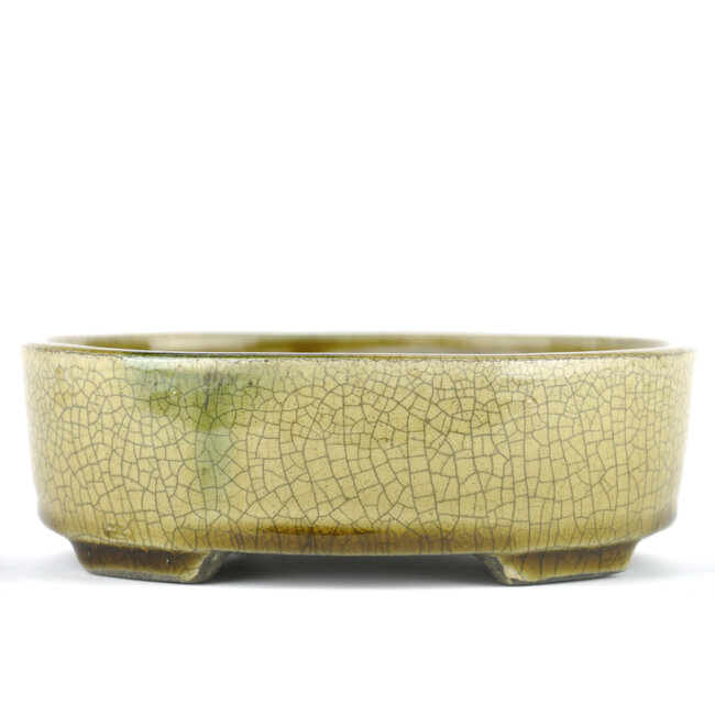 Pot à bonsaï ovale beige par Terahata Satomi Mazan - 160 x 130 x 52 mm