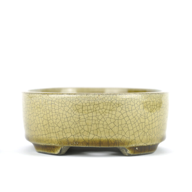 Maceta de bonsai beige ovalada de Terahata Satomi Mazan - 160 x 130 x 52 mm