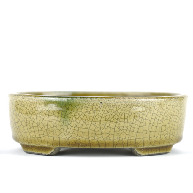 Oval beige bonsai pot by Terahata Satomi Mazan - 160 x 130 x 52 mm