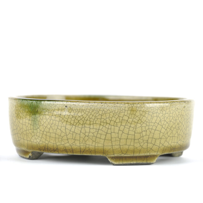 Ovale beige Bonsaischale von Terahata Satomi Mazan - 160 x 130 x 52 mm