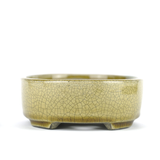 Ovale beige bonsaipot van Terahata Satomi Mazan - 160 x 130 x 52 mm