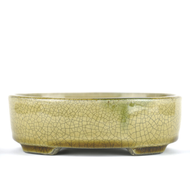 Vaso bonsai ovale beige di Terahata Satomi Mazan - 160 x 130 x 52 mm