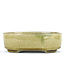 Oval beige bonsai pot by Terahata Satomi Mazan - 160 x 130 x 52 mm