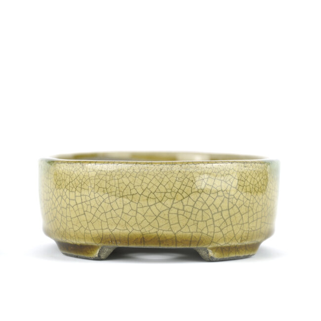 Maceta de bonsai beige ovalada de Terahata Satomi Mazan - 160 x 130 x 52 mm