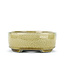 Maceta de bonsai beige ovalada de Terahata Satomi Mazan - 160 x 130 x 52 mm