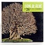 Catalogo della mostra Kokufu Bonsai n° 78 - 2004
