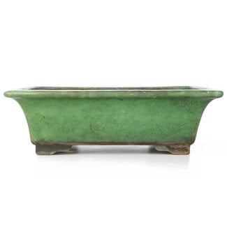  Shuuhou (Hidemi Kataoka) 315 mm rectangular green bonsai pot by Shuhou, Tokoname, Japan