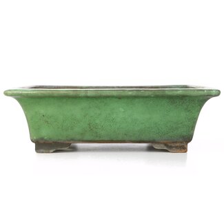 Shuuhou (Hidemi Kataoka) 315 mm rectangular green bonsai pot by Shuhou, Tokoname, Japan