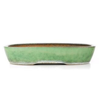  Shuuhou (Hidemi Kataoka) 352 mm rectangular green bonsai pot by Shuhou, Tokoname, Japan