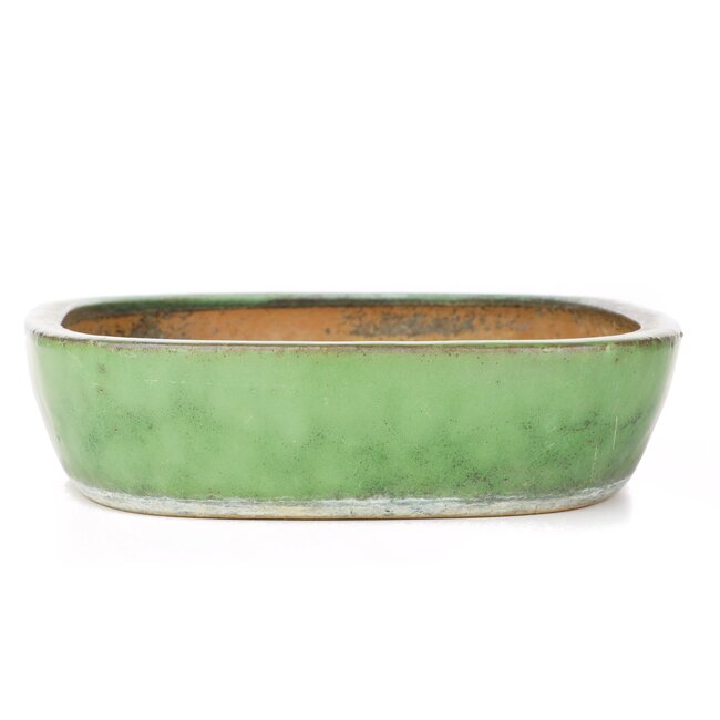 Pot à bonsaï rectangulaire vert par Shuhou - 352 x 260 x 65 mm