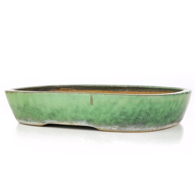 Pot à bonsaï rectangulaire vert par Shuhou - 352 x 260 x 65 mm