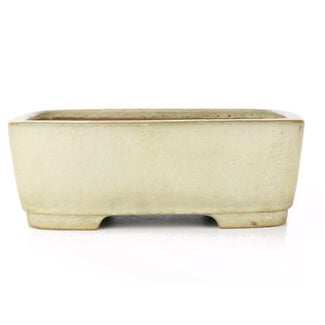  Yamafusa - Takehiko Koie 317 mm rectangular beige bonsai pot by Yamafusa, Tokoname, Japan