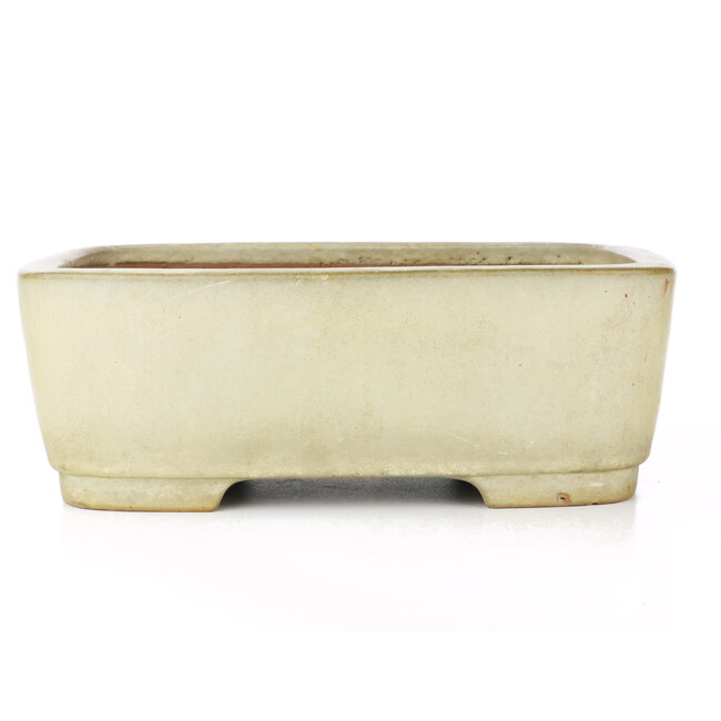 Rectangular beige bonsai pot by Yamafusa - 317 x 240 x 113 mm