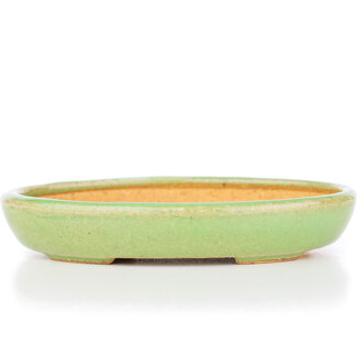 Hattori Tomoyuki 127 mm oval green bonsai pot by Hattori, Tokoname, Japan