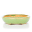 Oval green bonsai pot by Hattori - 127 x 92 x 22 mm