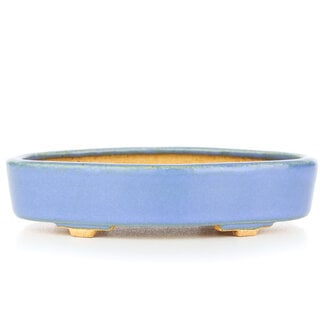  Hattori Tomoyuki 130 mm oval blue bonsai pot by Hattori, Tokoname, Japan