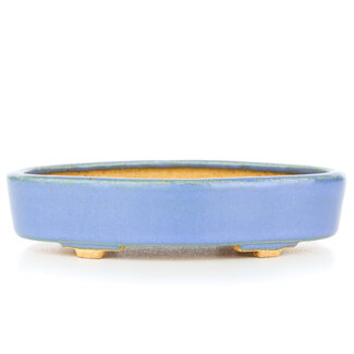 Hattori Tomoyuki 130 mm oval blue bonsai pot by Hattori, Tokoname, Japan