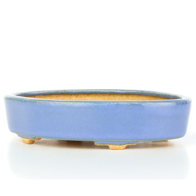 Ovale blaue Bonsaischale von Hattori - 130 x 95 x 30 mm
