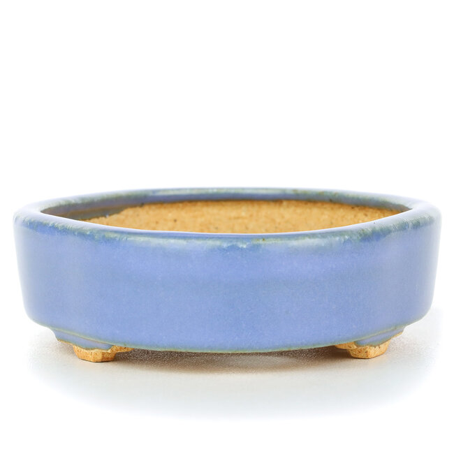 Vaso bonsai ovale blu di Hattori - 130 x 95 x 30 mm