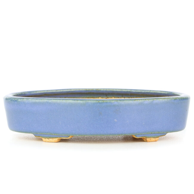 Vaso bonsai ovale blu di Hattori - 130 x 95 x 30 mm