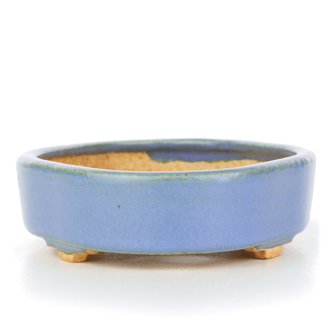 Ovale blauwe bonsaipot van Hattori - 130 x 95 x 30 mm