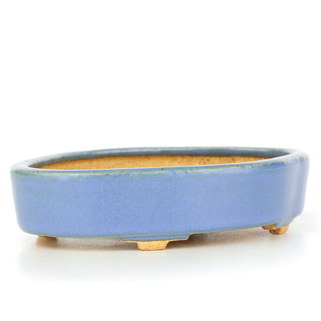Ovale blaue Bonsaischale von Hattori - 130 x 95 x 30 mm