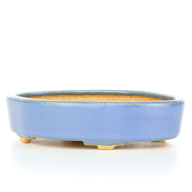Vaso bonsai ovale blu di Hattori - 130 x 95 x 30 mm