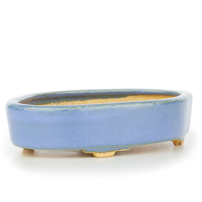 Maceta de bonsái azul ovalada de Hattori - 130 x 95 x 30 mm