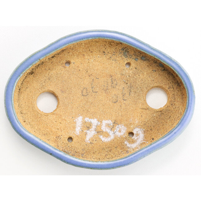 Maceta de bonsái azul ovalada de Hattori - 130 x 95 x 30 mm