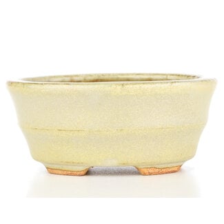  Hattori Tomoyuki 108 mm oval beige bonsai pot by Hattori, Tokoname, Japan