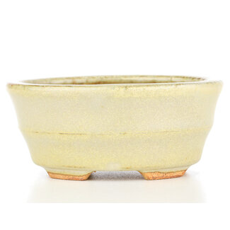  Hattori Tomoyuki 108 mm ovale beige Bonsaischale von Hattori, Tokoname, Japan