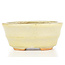 Oval beige bonsai pot by Hattori - 108 x 91 x 48 mm