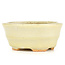 Oval beige bonsai pot by Hattori - 108 x 91 x 48 mm