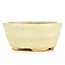 Pot à bonsaï ovale beige par Hattori - 108 x 91 x 48 mm