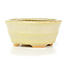 Oval beige bonsai pot by Hattori - 108 x 91 x 48 mm