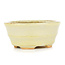 Oval beige bonsai pot by Hattori - 108 x 91 x 48 mm