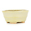 Vaso per bonsai ovale beige di Hattori - 108 x 91 x 48 mm