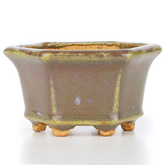  Hattori Tomoyuki Pot à bonsaï violet hexagonal 91 mm par Hattori, Tokoname, Japon